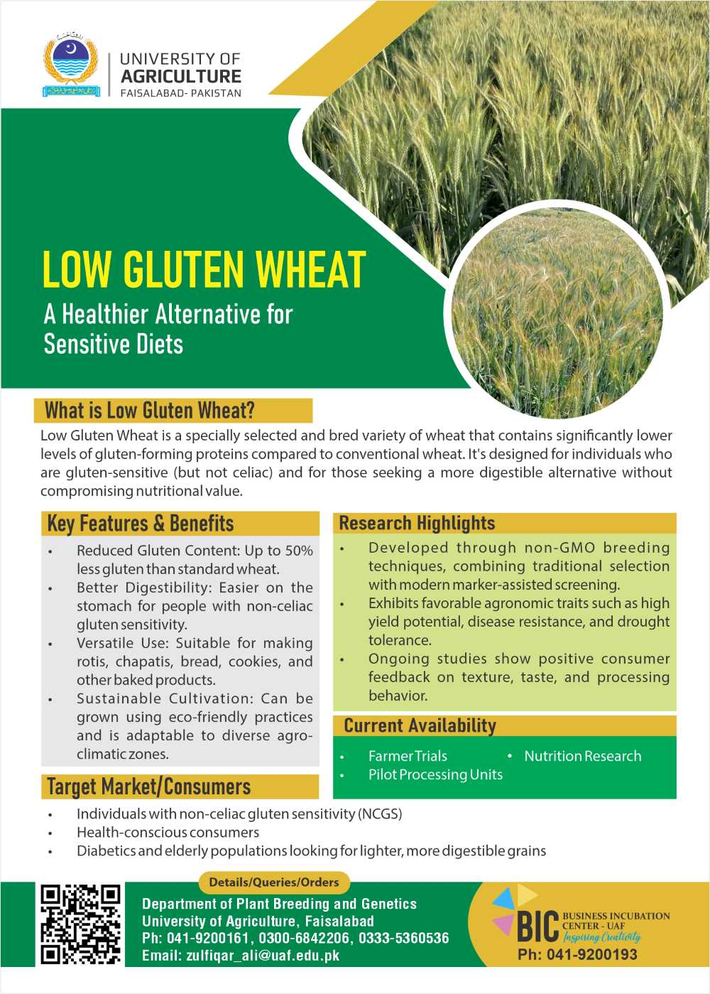 Low Gluten Wheat